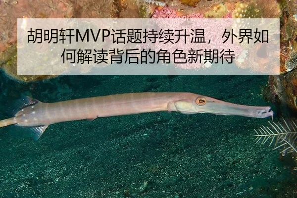 胡明轩MVP话题持续升温，外界如何解读背后的角色新期待